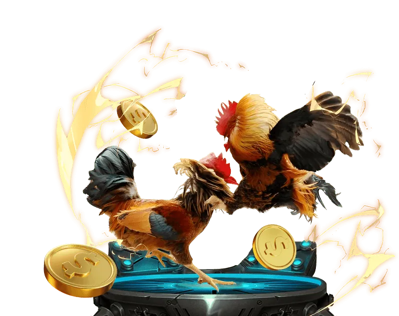 Trải nghiệm sòng bạc trực tiếp